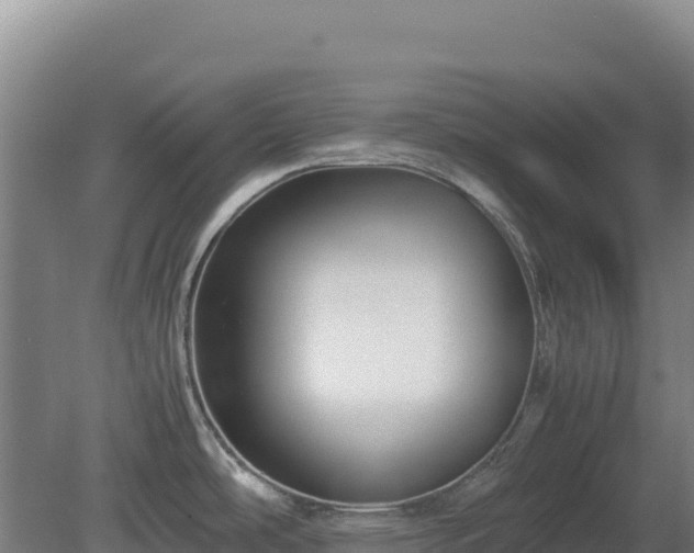 X0000081451486200701191701