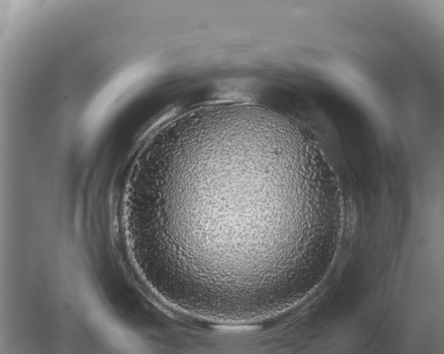 X0000081451487200701191701