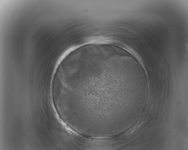 X0000081451488200701191701