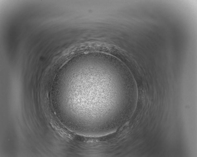 X0000081451489200701191700