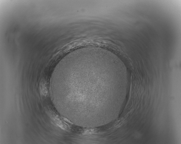 X0000081451490200701191700