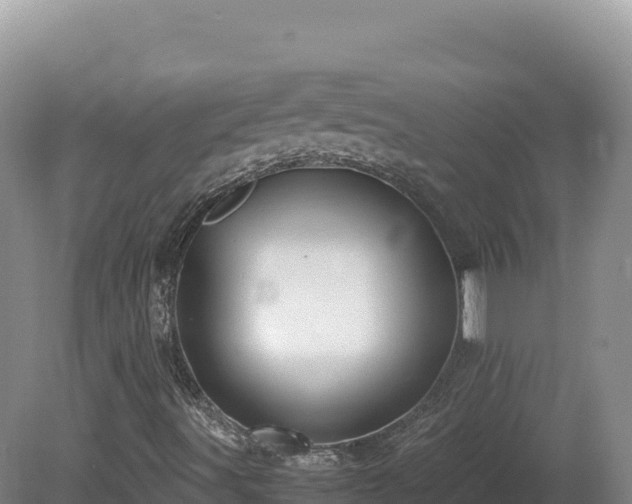 X0000081451491200701191700