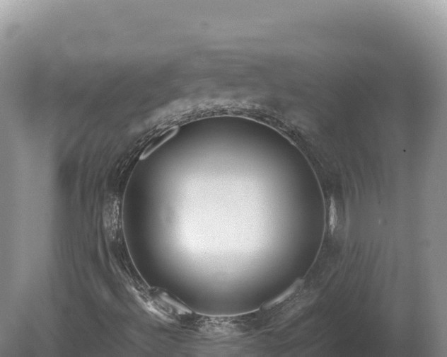 X0000081451492200701191700