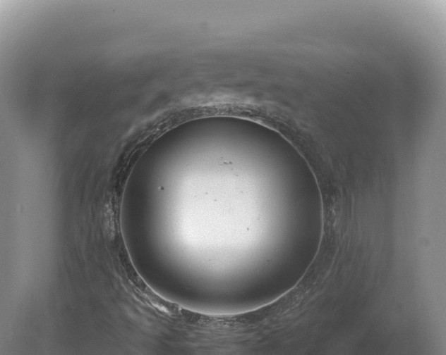 X0000081451493200701191700