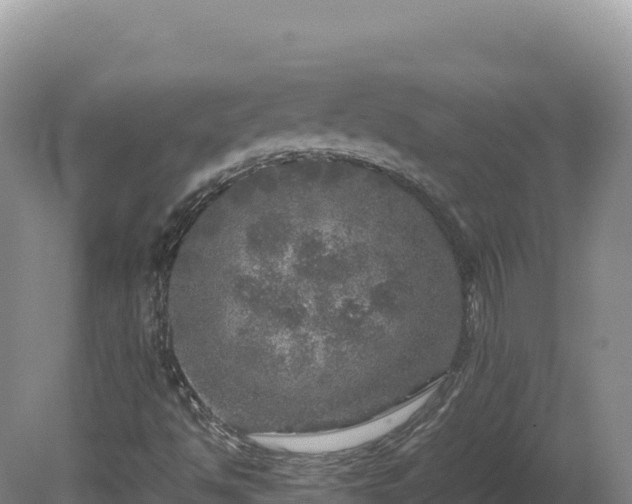 X0000081451494200701191700