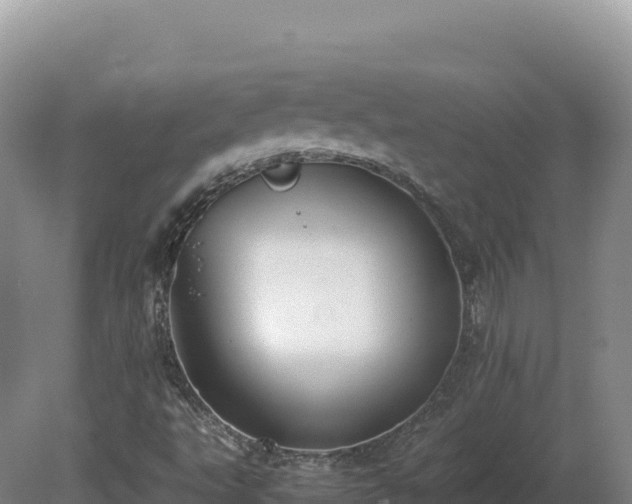 X0000081451495200701191700