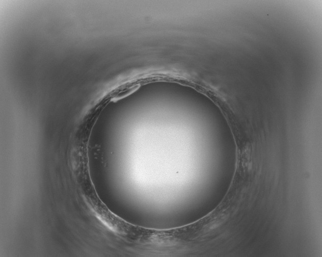 X0000081451496200701191700