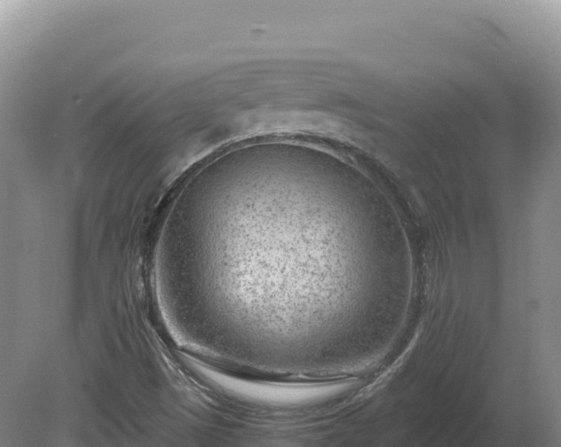 X0000081451497200701191700