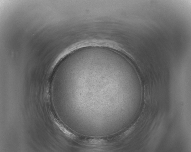 X0000081451498200701191700