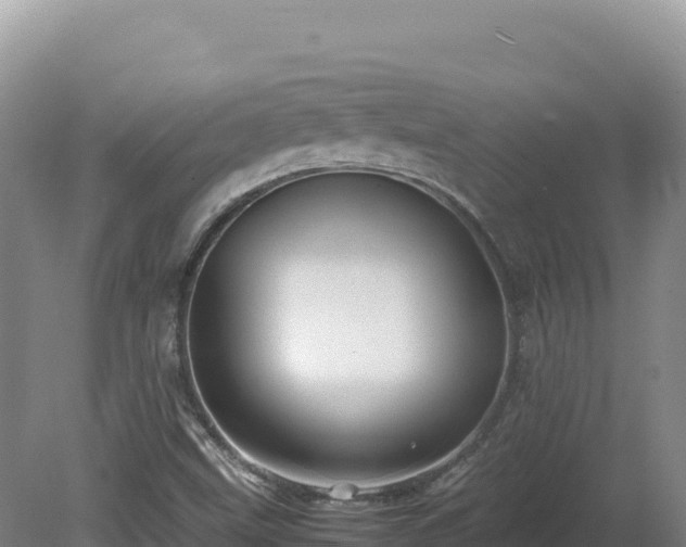 X0000081451499200701191700