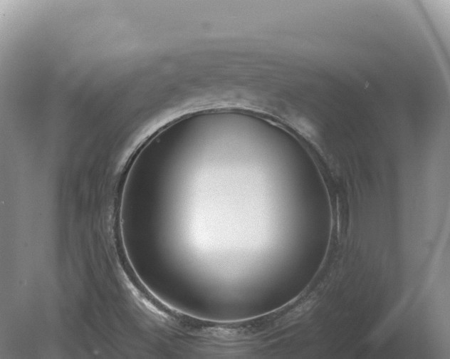 X0000081451500200701191700