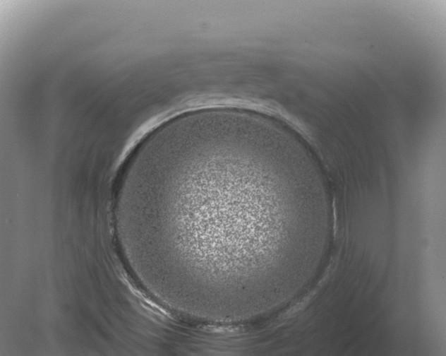 X0000081451501200701191700