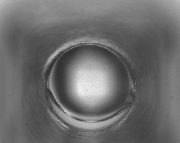 X0000081451502200701191700