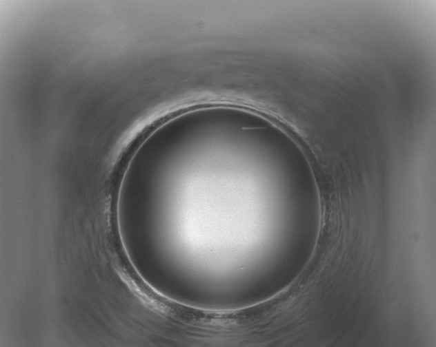 X0000081451503200701191700