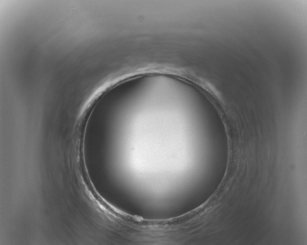 X0000081451504200701191700