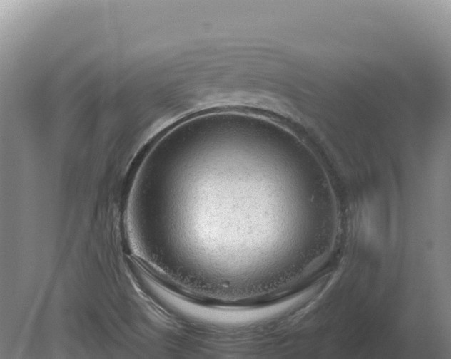 X0000081451505200701191700