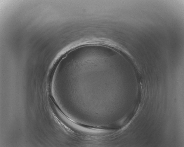 X0000081451506200701191700