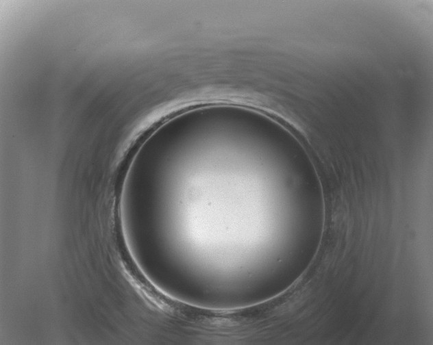 X0000081451507200701191700