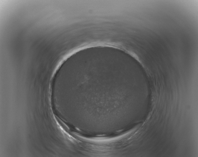 X0000081451508200701191700