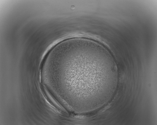 X0000081451509200701191700