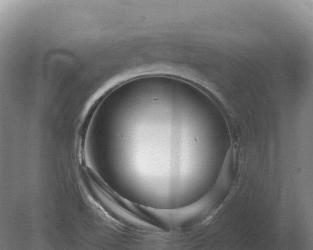 X0000081451510200701191700