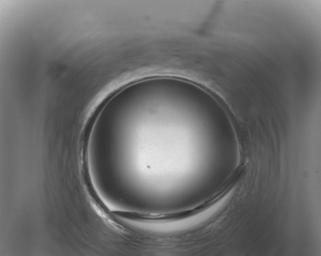 X0000081451511200701191700