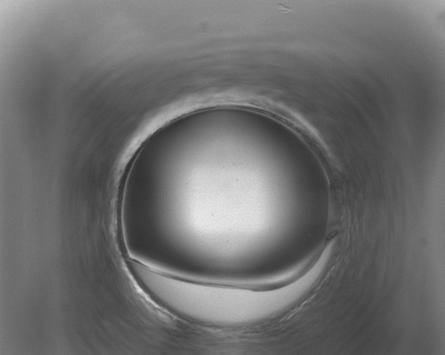 X0000081451512200701191700