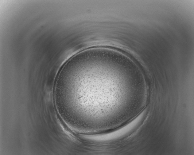 X0000081451513200701191700