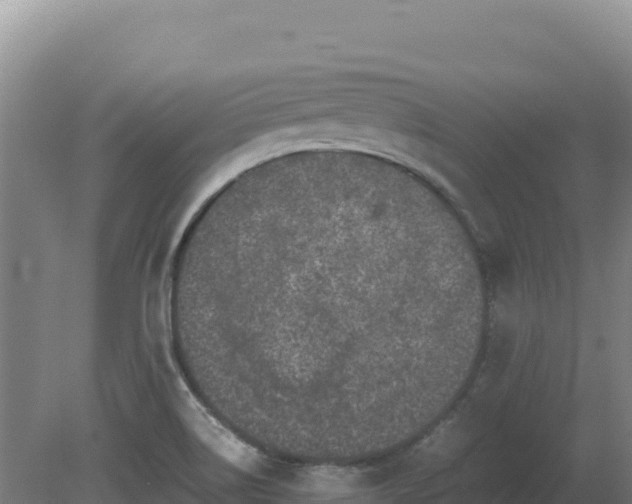 X0000081451514200701191700