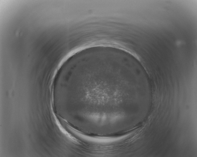 X0000081451515200701191700