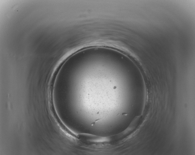 X0000081451517200701191700