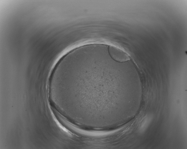 X0000081451519200701191700