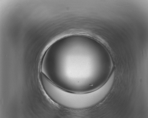 X0000081451520200701191700