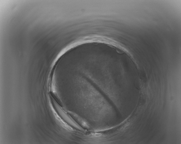 X0000081451522200701191700