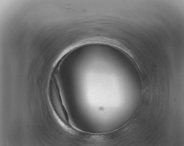 X0000081451523200701191700