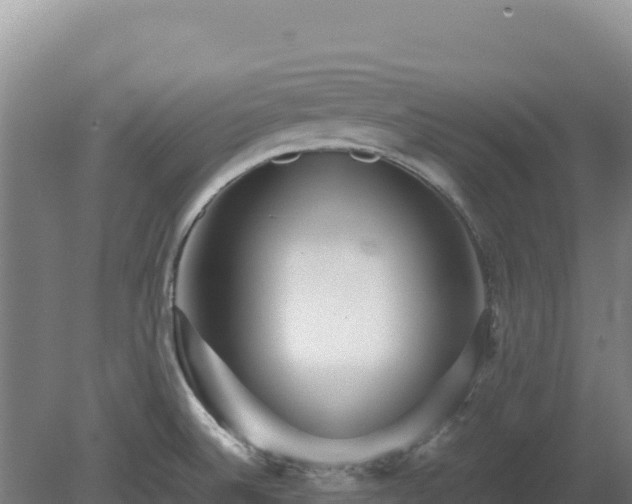 X0000081451524200701191700