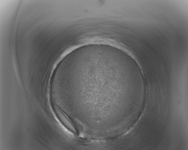 X0000081451525200701191700