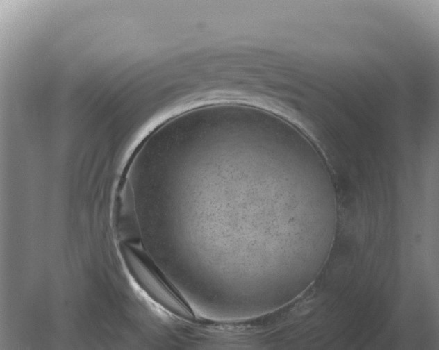 X0000081451527200701191700