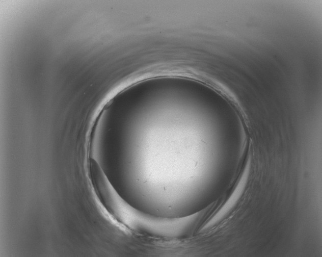 X0000081451528200701191700