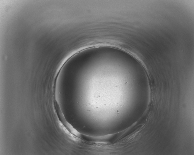 X0000081451532200701191701