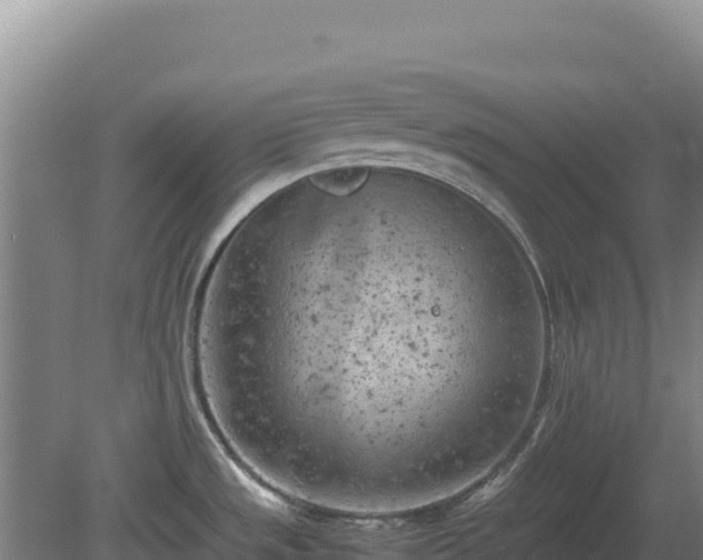 X0000081451533200701191701