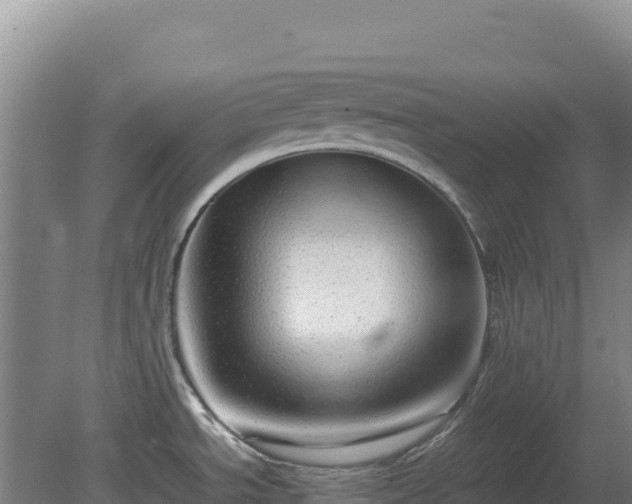 X0000081451534200701191701