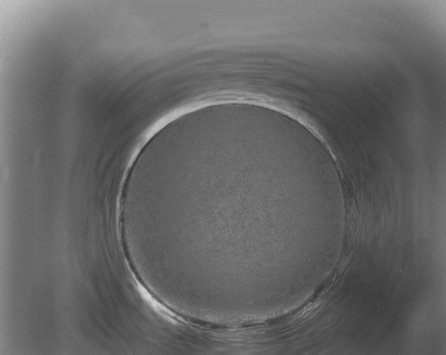 X0000081451535200701191701