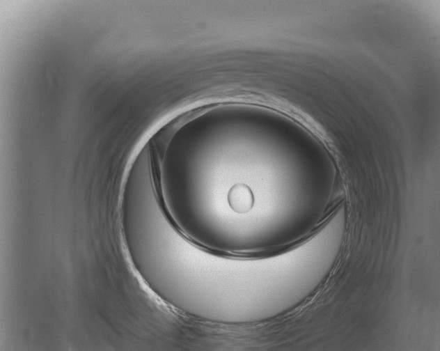 X0000081451536200701191701