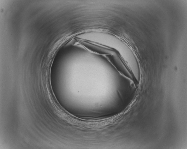 X0000081450001200701261924