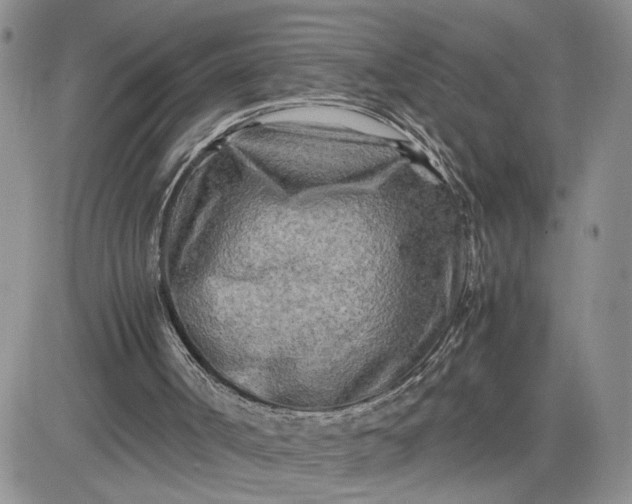 X0000081450002200701261924