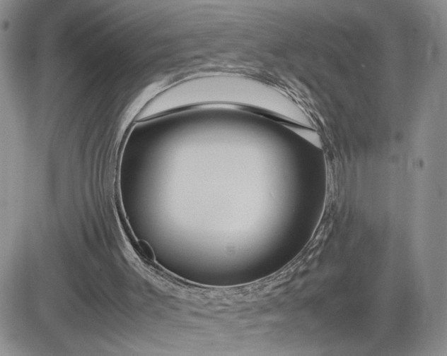 X0000081450003200701261924