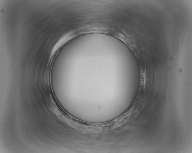 X0000081450004200701261924