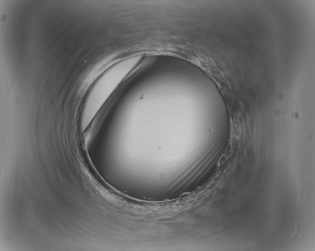 X0000081450005200701261924