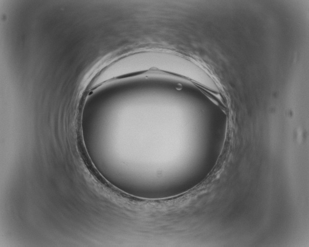 X0000081450007200701261924